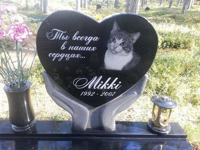 pamyatniki/pamyatnik-kotu_1667810004.jpg