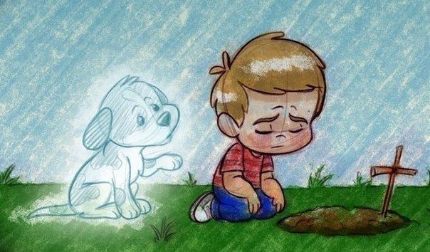 как пережить смерть домашнего питломца