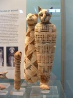 Египетские кошки