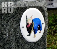 Собака умерла от тоски