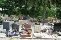 КЛАДБИЩЕ ЖИВОТНЫХ В ПАРИЖЕ