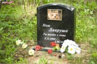 ПОСМЕРТНАЯ ЖИЗНЬ ЖИВОТНЫХ