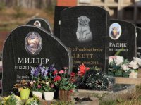 ДОСТОЙНЫЕ  ПОХОРОНЫ  ДОМАШНИХ  ПИТОМЦЕВ