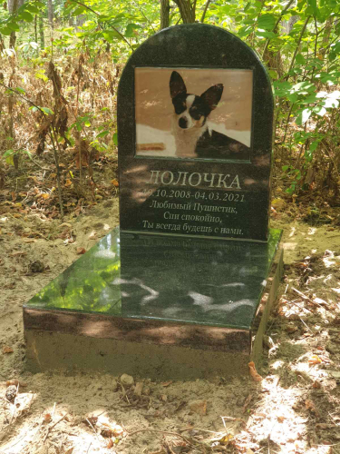 Пам'ятник для собаки з фото під склом
