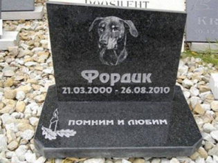 Пам'ятник з граніту для собаки з портретом