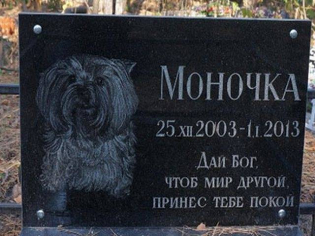 Табличка гранітна для собачки з портретом і написом